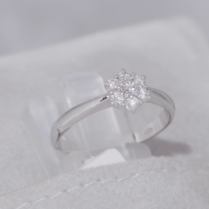 F-947 | Anello